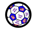 Team USA Soccer Ball Tire Cover on Black Vinyl