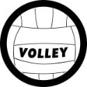Volley Ball Tire Cover on Black Vinyl