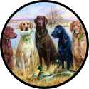 Five Dogs Spare Tire Cover