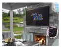 Pittsburgh Outdoor TV Cover w/ Panthers Logo - Black Vinyl