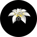 White Flower Tire Cover - Backup Camera Ready