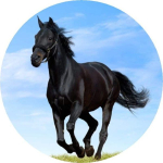 Black Horse Running Spare Tire Cover