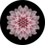Pink Flower Spare Tire Cover