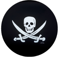 Sabers and Skull Tire Cover on Black Vinyl