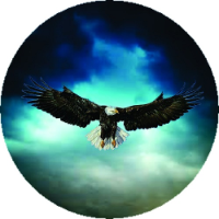 Eagle in Sky Spare Tire Cover