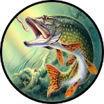 Gone Fishing Spare Tire Cover