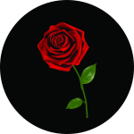 A Red Rose Tire Cover on Black Vinyl