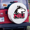 Northern Illinois University Tire Cover Logo on White Vinyl