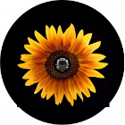 Yellow Sunflower Tire Cover - Back Up Camera Ready